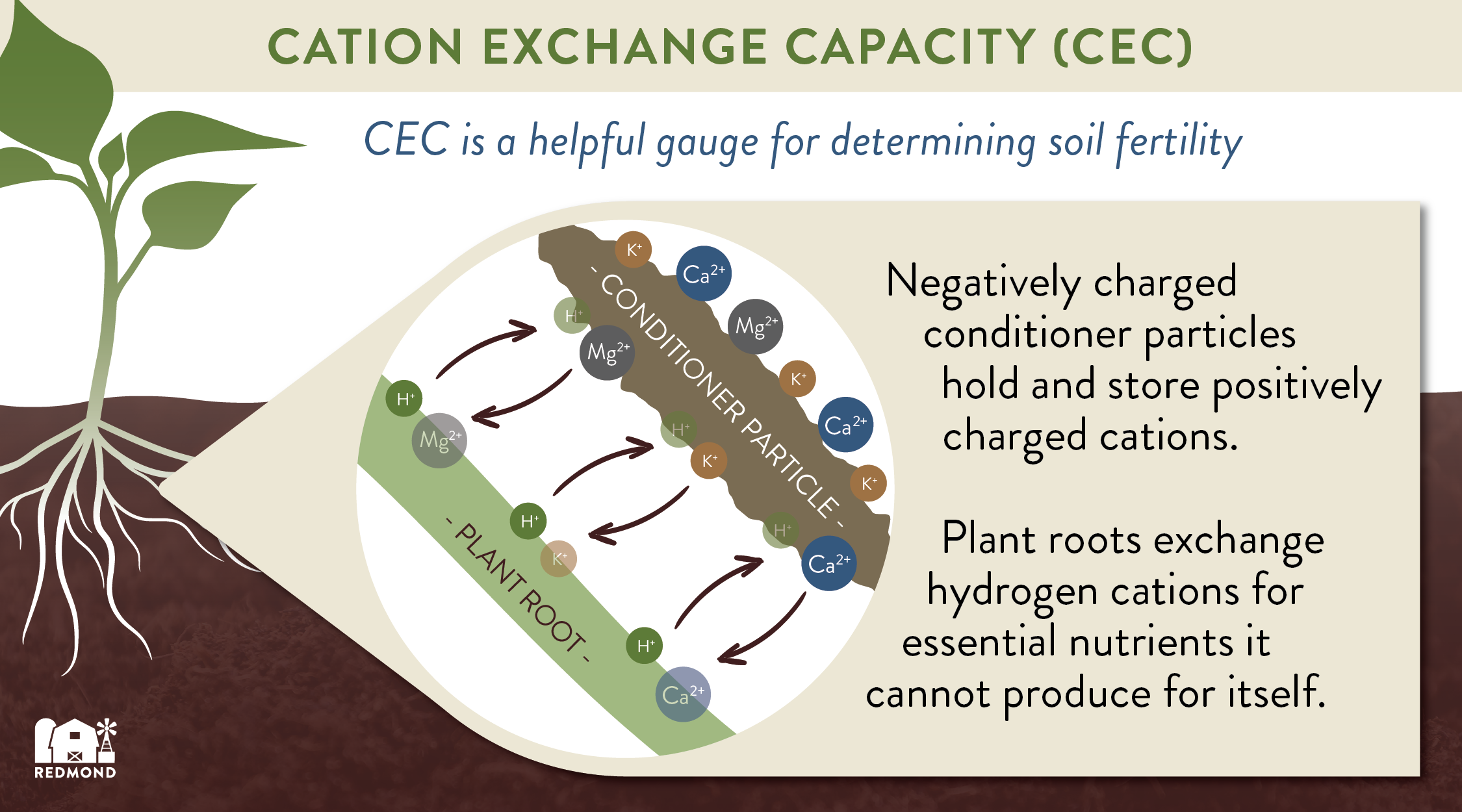 Soil EC (Electrical Conductivity) And CEC (Cation Exchange Capacity)